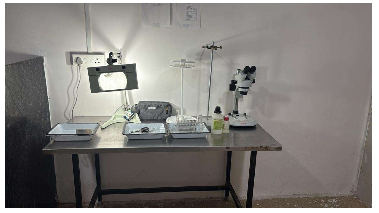 Infrastructure Image 8